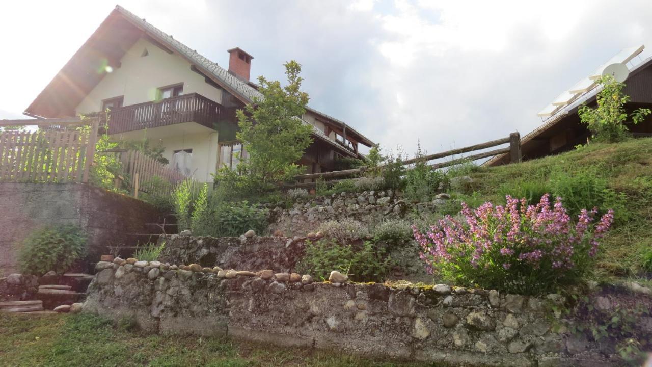 Apartma Biofit Bled Exterior photo